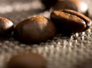 Organiske kaffeb&oslash;nner